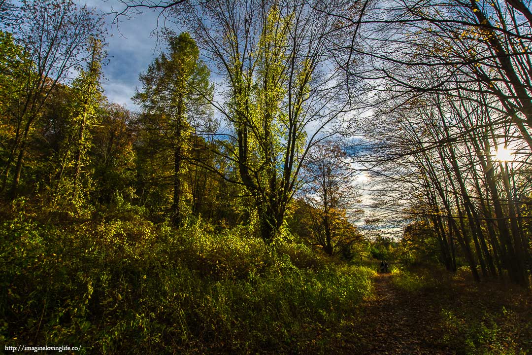 white trail to parking lot